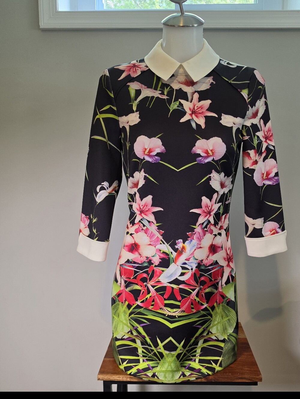 Womens TED BAKER LONDON Youma Mirrored Tropics Collar Dress Sz 4 (TB 1) NWT